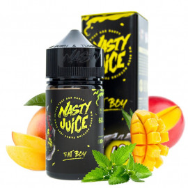 Fat Boy 50ml - Nasty Juice