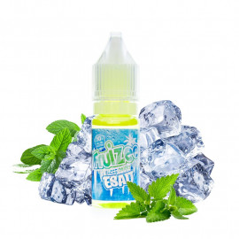 Icee Mint 10ml - Fruizee Esalt